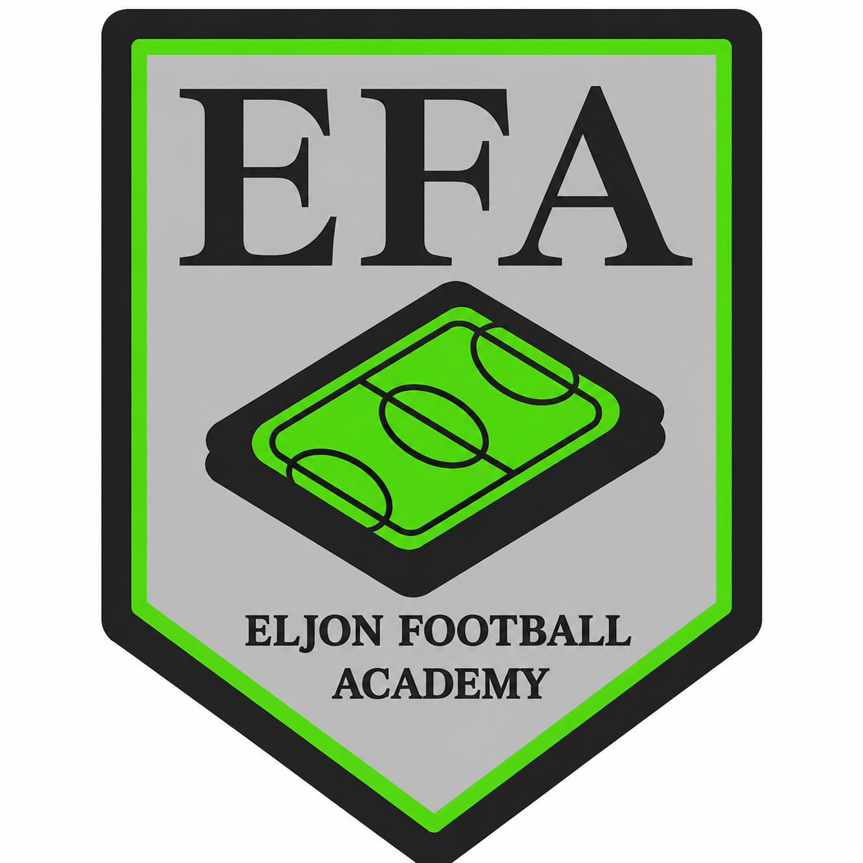 Logo EFA